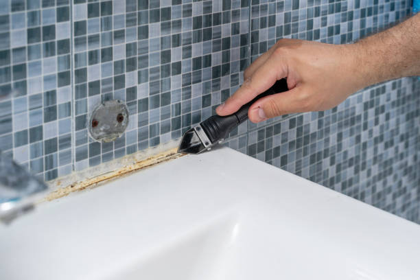 Best Mold Damage Repair  in Kilgore, TX