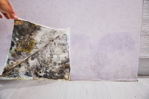 Water Damage Restoration in Kilgore, TX